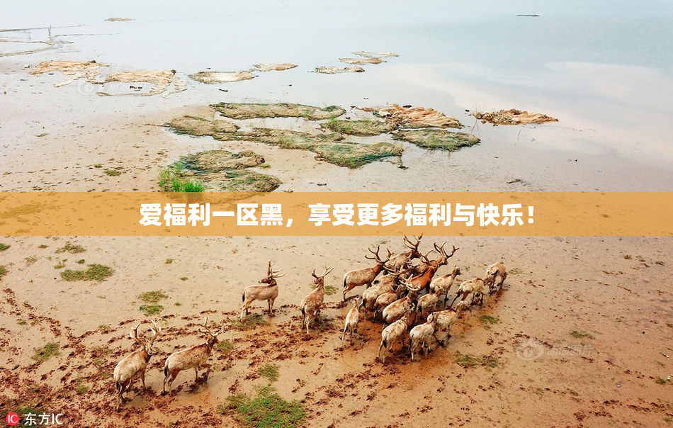 爱福利一区黑，享受更多福利与快乐！