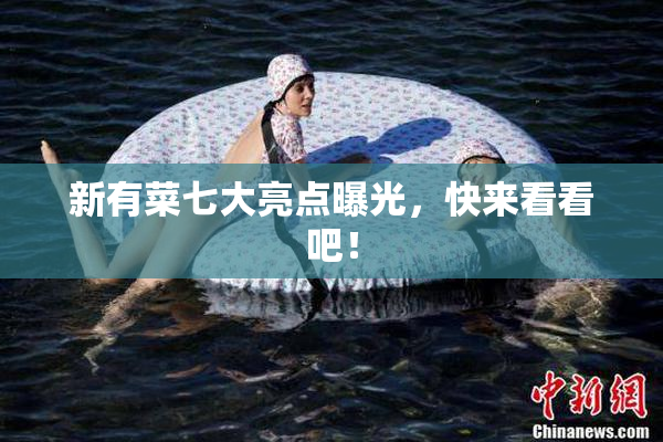 新有菜七大亮点曝光，快来看看吧！