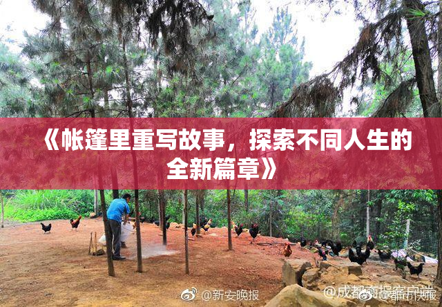 《帐篷里重写故事，探索不同人生的全新篇章》