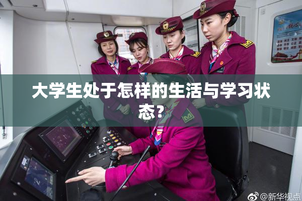 大学生处于怎样的生活与学习状态？