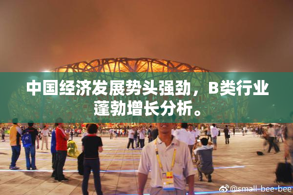中国经济发展势头强劲，B类行业蓬勃增长分析。