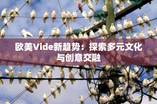 欧美Vide新趋势：探索多元文化与创意交融