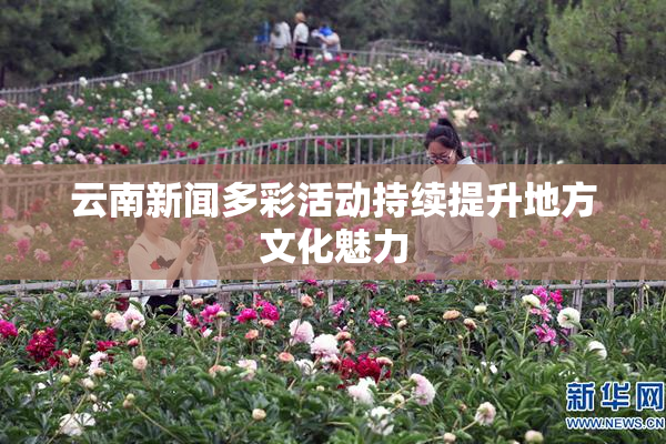 云南新闻多彩活动持续提升地方文化魅力
