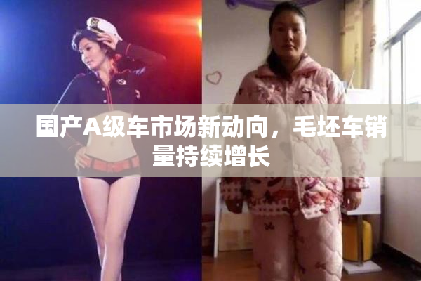 国产A级车市场新动向，毛坯车销量持续增长