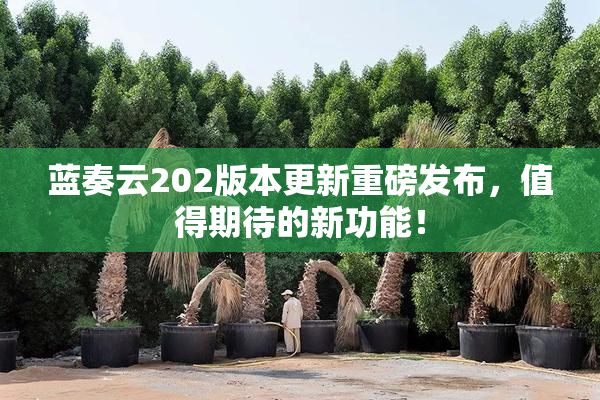 蓝奏云202版本更新重磅发布，值得期待的新功能！