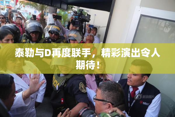 泰勒与D再度联手，精彩演出令人期待！