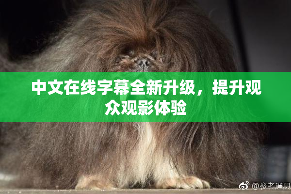 中文在线字幕全新升级，提升观众观影体验