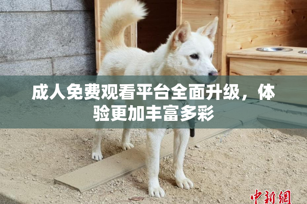 成人免费观看平台全面升级，体验更加丰富多彩