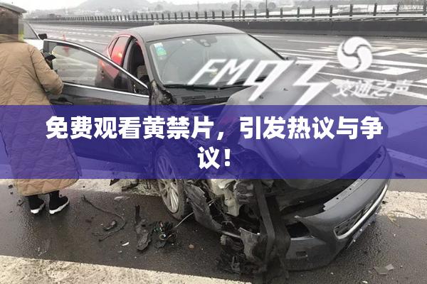 免费观看黄禁片，引发热议与争议！