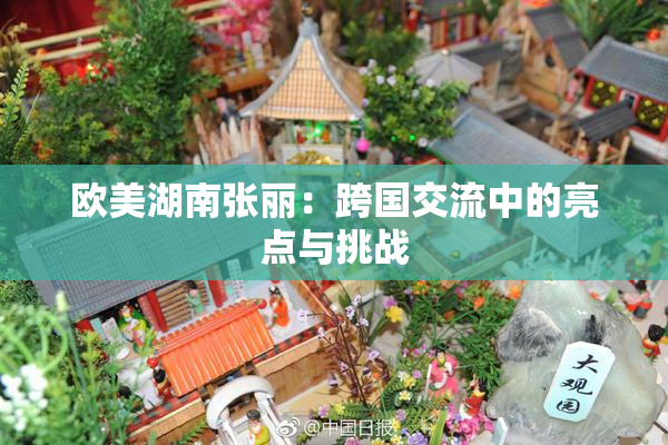 欧美湖南张丽：跨国交流中的亮点与挑战