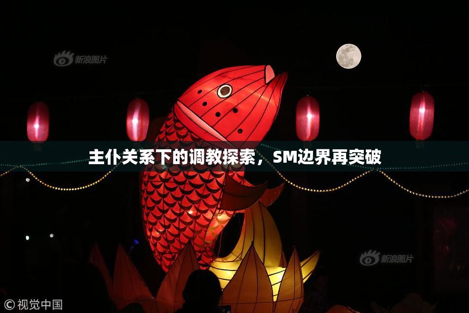 主仆关系下的调教探索，SM边界再突破