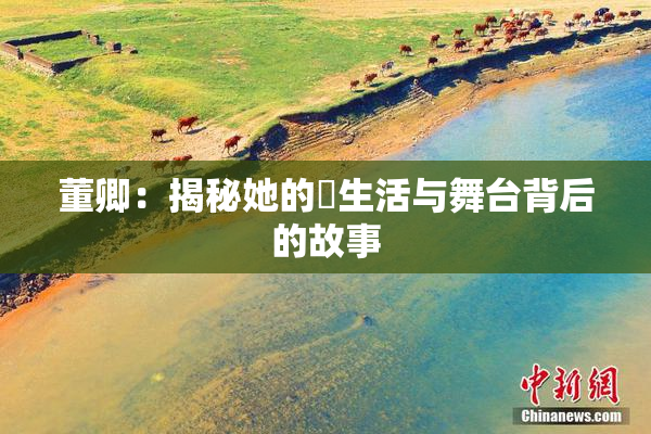 董卿：揭秘她的婬生活与舞台背后的故事