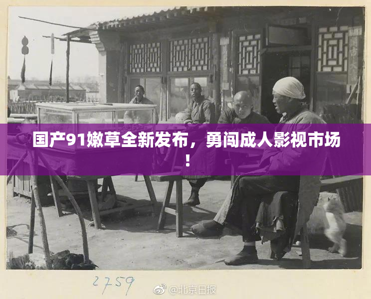 国产91嫩草全新发布，勇闯成人影视市场！