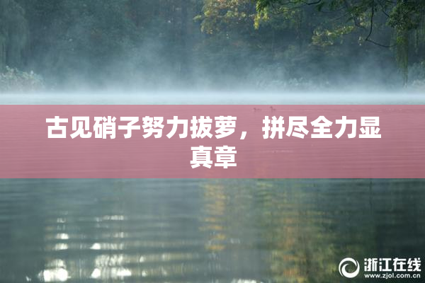 古见硝子努力拔萝，拼尽全力显真章
