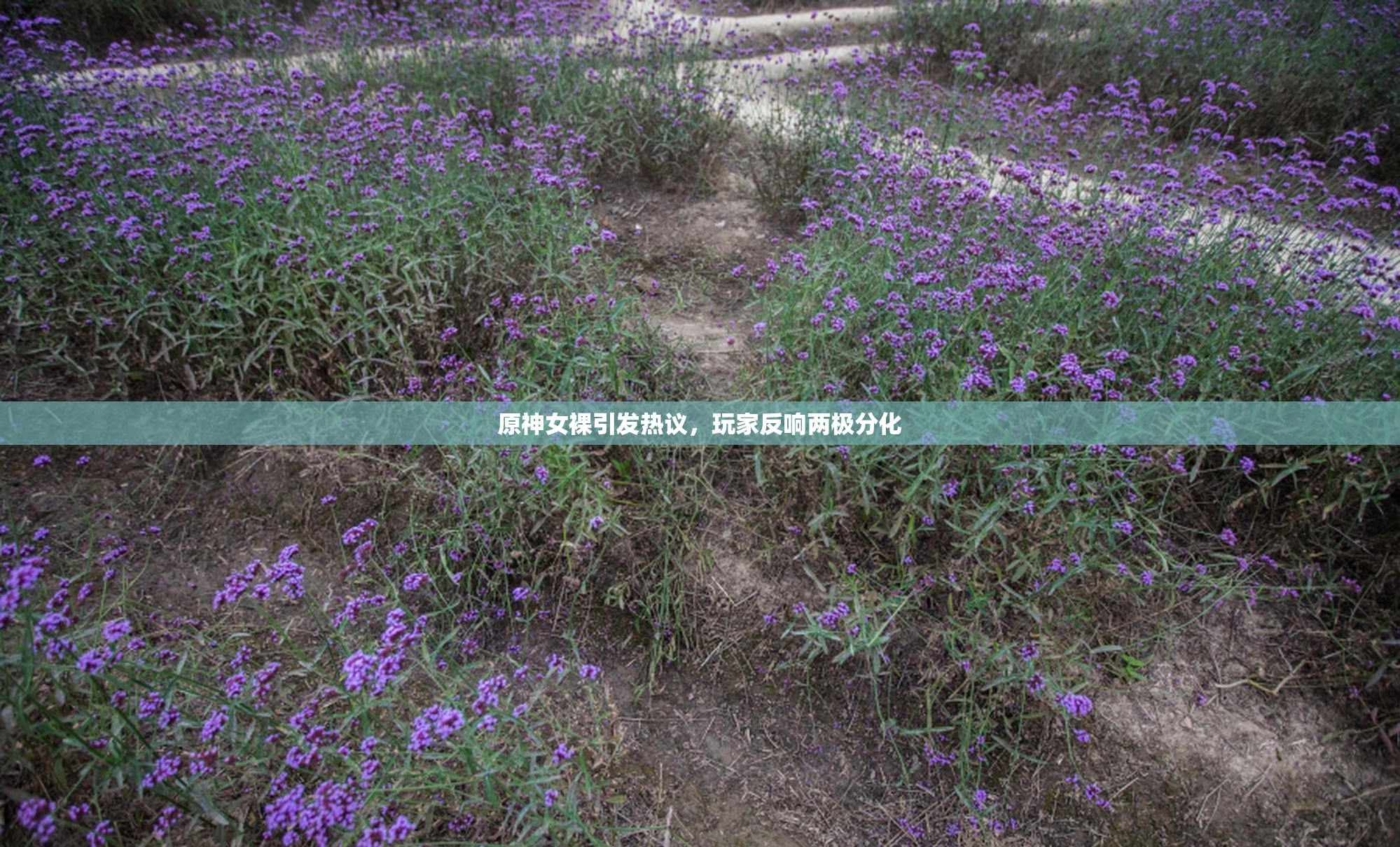 原神女裸引发热议，玩家反响两极分化