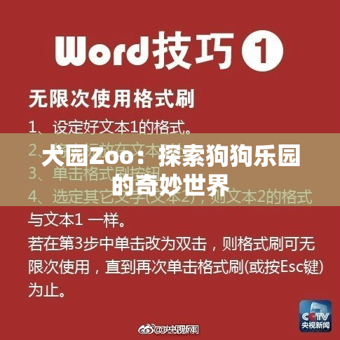 犬园Zoo：探索狗狗乐园的奇妙世界