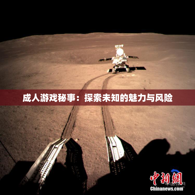 成人游戏秘事：探索未知的魅力与风险