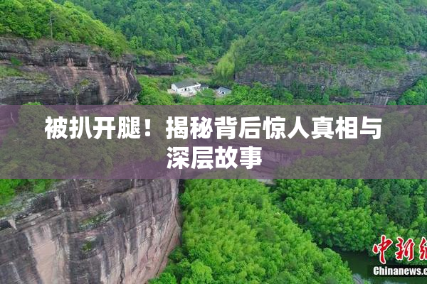 被扒开腿！揭秘背后惊人真相与深层故事