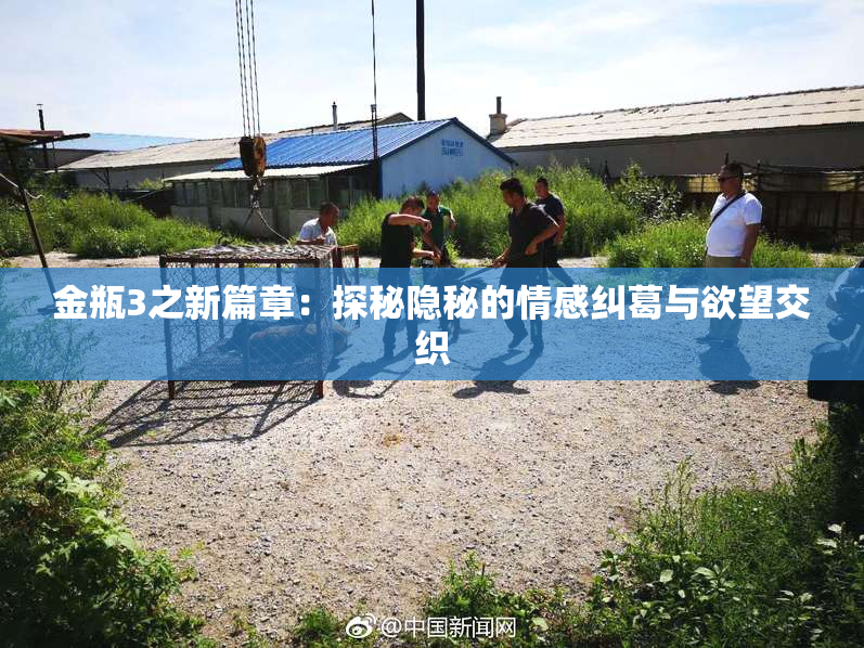 金瓶3之新篇章：探秘隐秘的情感纠葛与欲望交织
