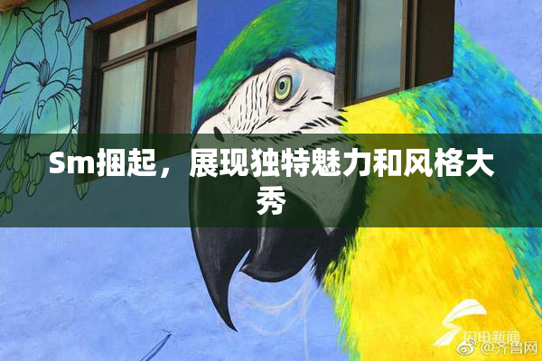Sm捆起，展现独特魅力和风格大秀