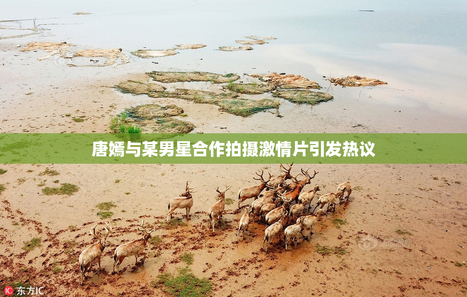 唐嫣与某男星合作拍摄激情片引发热议