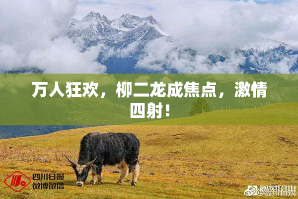 万人狂欢，柳二龙成焦点，激情四射！
