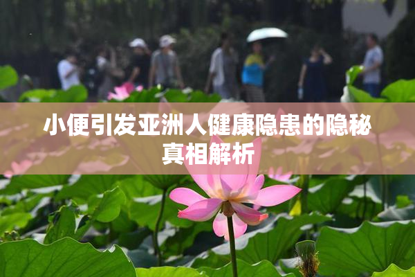 小便引发亚洲人健康隐患的隐秘真相解析