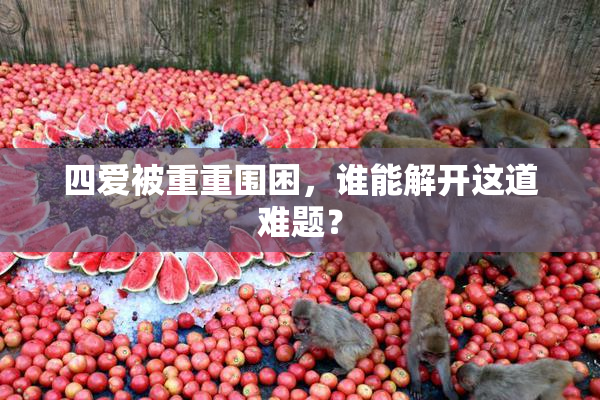 四爱被重重围困，谁能解开这道难题？