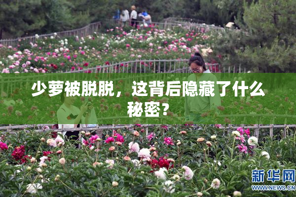 少萝被脱脱，这背后隐藏了什么秘密？