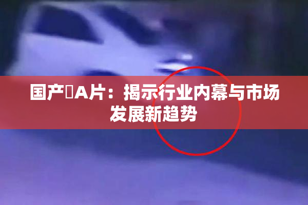 国产婬A片：揭示行业内幕与市场发展新趋势