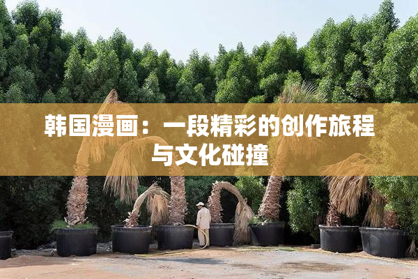 韩国漫画：一段精彩的创作旅程与文化碰撞