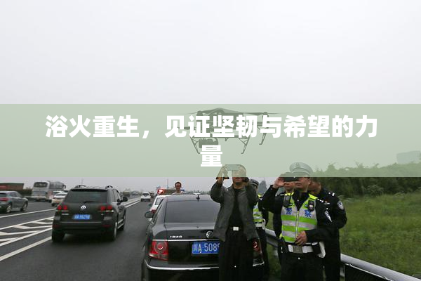 浴火重生，见证坚韧与希望的力量