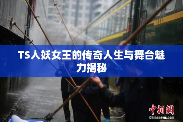 TS人妖女王的传奇人生与舞台魅力揭秘
