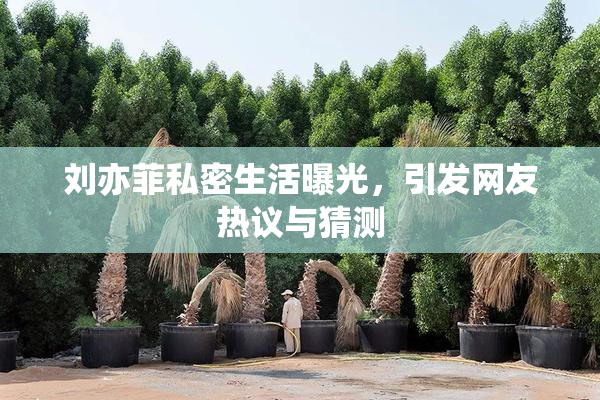 刘亦菲私密生活曝光，引发网友热议与猜测