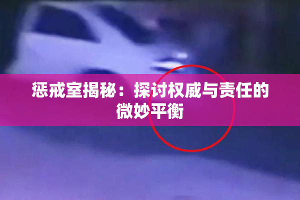 惩戒室揭秘：探讨权威与责任的微妙平衡