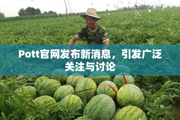 Pott官网发布新消息，引发广泛关注与讨论