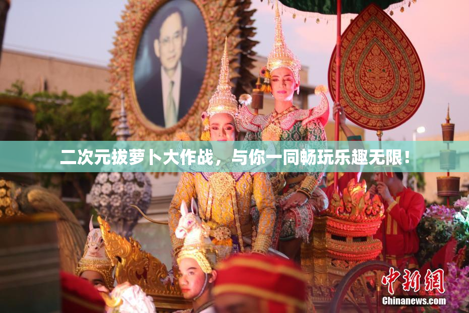 二次元拔萝卜大作战，与你一同畅玩乐趣无限！