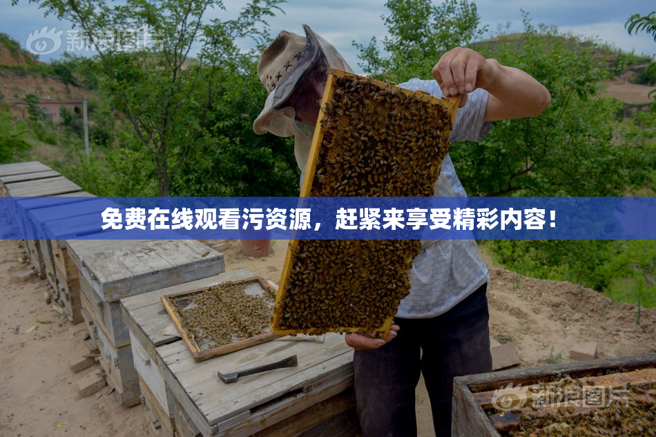 免费在线观看污资源，赶紧来享受精彩内容！