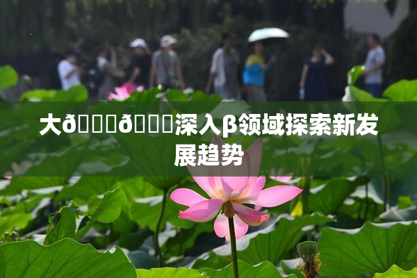 大🐔🐔深入β领域探索新发展趋势