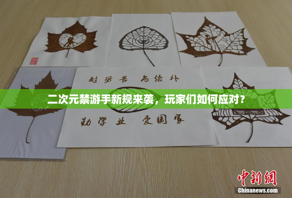二次元禁游手新规来袭，玩家们如何应对？