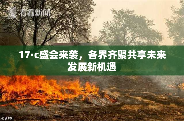 17·c盛会来袭，各界齐聚共享未来发展新机遇