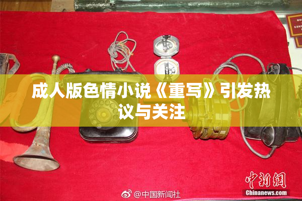 成人版色情小说《重写》引发热议与关注