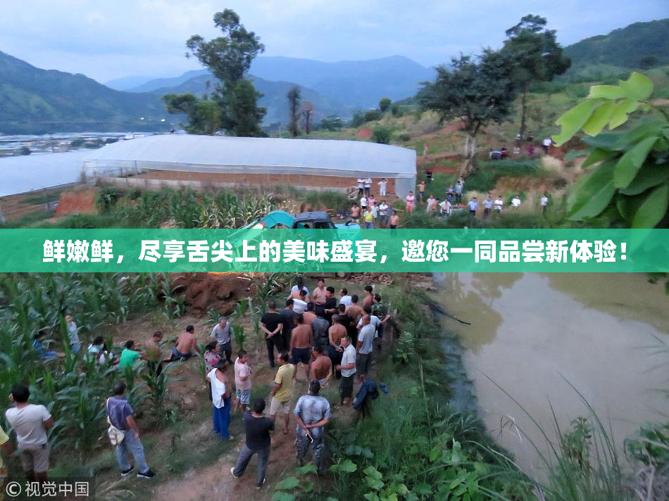 鲜嫩鲜，尽享舌尖上的美味盛宴，邀您一同品尝新体验！