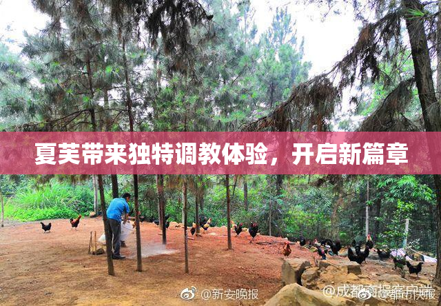 夏芙带来独特调教体验，开启新篇章