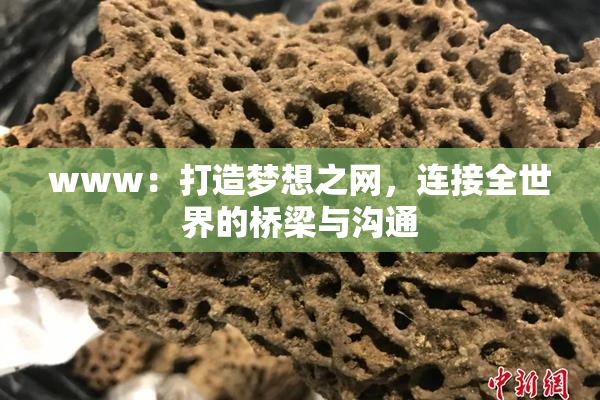 www：打造梦想之网，连接全世界的桥梁与沟通