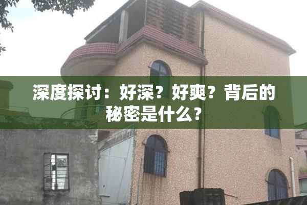 深度探讨：好深？好爽？背后的秘密是什么？