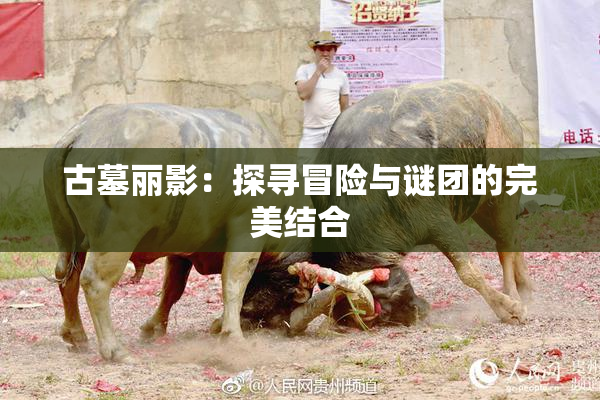 古墓丽影：探寻冒险与谜团的完美结合