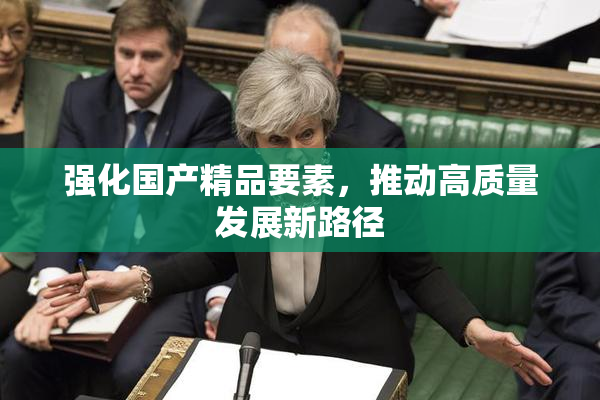 强化国产精品要素，推动高质量发展新路径