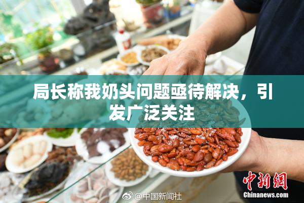 局长称我奶头问题亟待解决，引发广泛关注