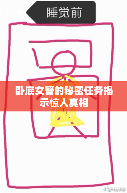 卧底女警的秘密任务揭示惊人真相